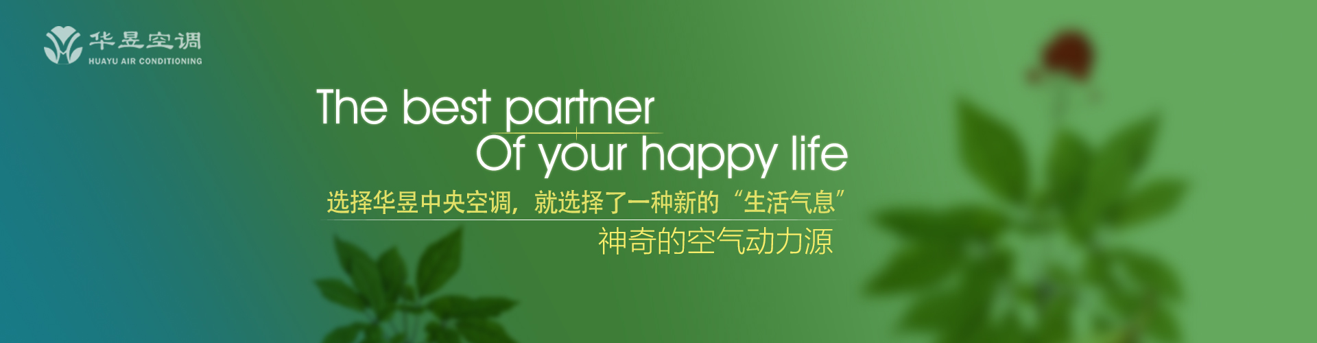 安良除暴网